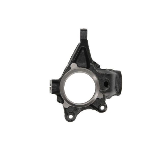 REINHOCH Achsschenkel, Radaufh&auml;ngung RH08-2030