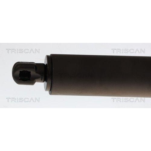 TRISCAN Gasfeder, Koffer-/Laderaum 8710 16281