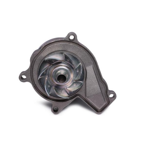 HEPU Wasserpumpe, Motork&uuml;hlung P433