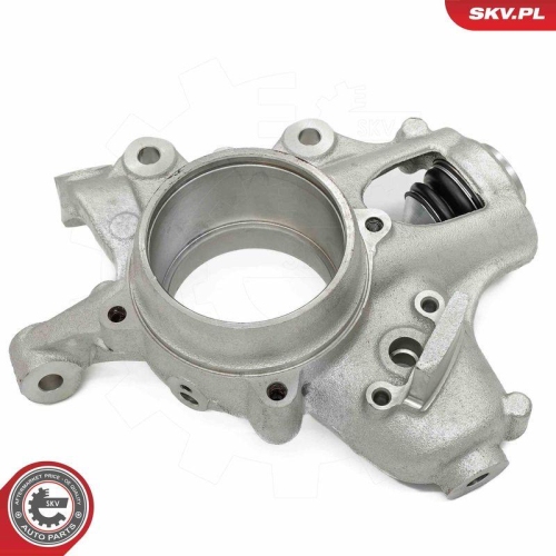 ESEN SKV Achsschenkel, Radaufhängung