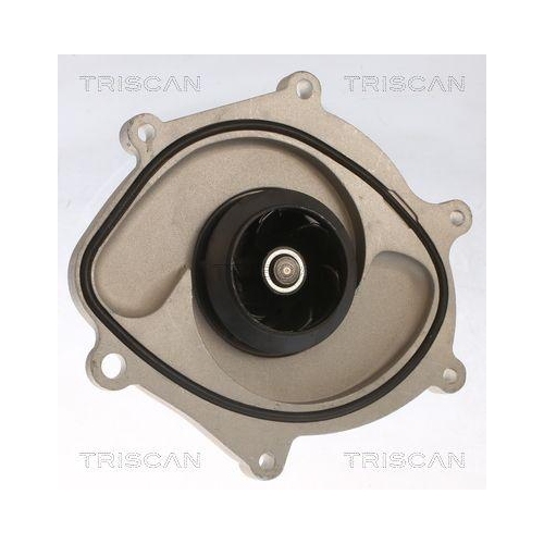 TRISCAN Wasserpumpe, Motork&uuml;hlung 8600 20006