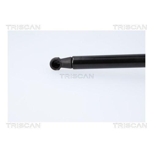 TRISCAN Gasfeder, Koffer-/Laderaum 8710 18247