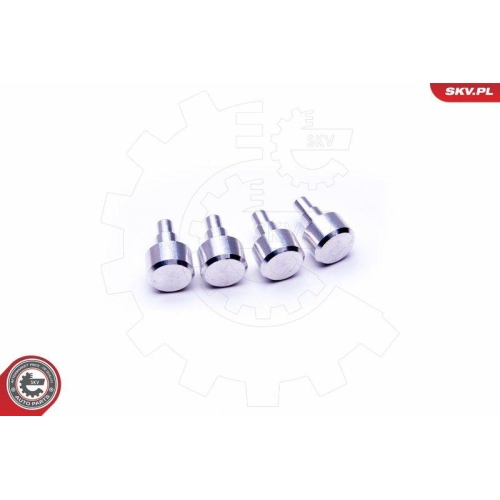 ESEN SKV Reparatursatz, Saugrohrmodul 49SKV547