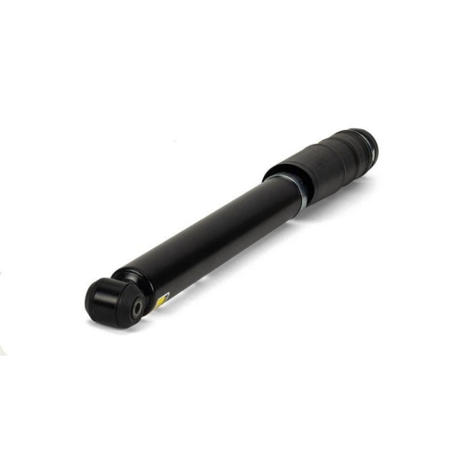 Arnott Sto&szlig;d&auml;mpfer SK-3039