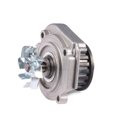 HEPU Wasserpumpe, Motork&uuml;hlung P094