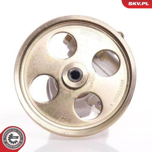 ESEN SKV Hydraulikpumpe, Lenkung 10SKV119