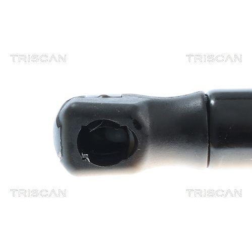 TRISCAN Gasfeder, Koffer-/Laderaum 8710 292079