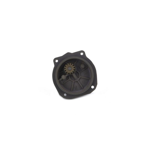 BOSCH Kraftstoffpumpe 0 440 020 115
