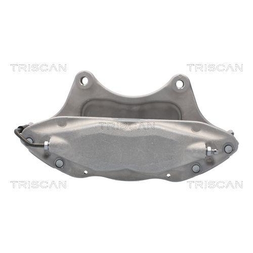 TRISCAN Bremssattel 8175 81101
