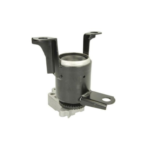 REINHOCH Lagerung, Motor RH11-4056