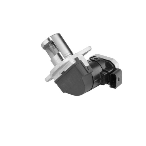 BorgWarner AGR-Ventil 7389D