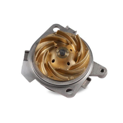 HEPU Wasserpumpe, Motork&uuml;hlung P1012