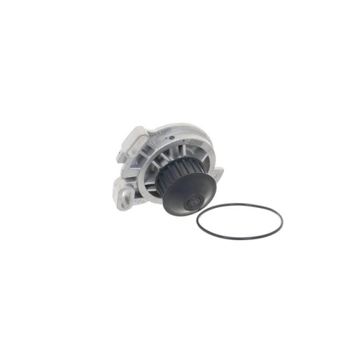 SKF Wasserpumpe, Motork&uuml;hlung VKPC 81602