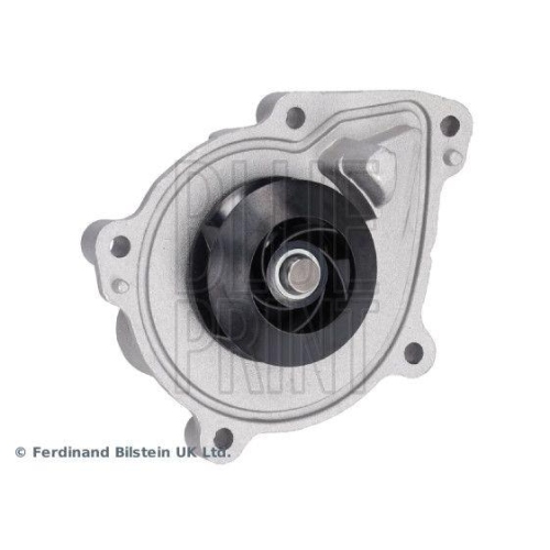 BLUE PRINT Wasserpumpe, Motorkühlung ADB119101