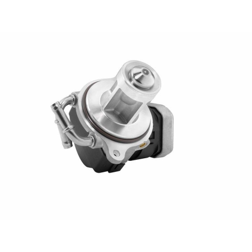 BorgWarner AGR-Ventil 7504D