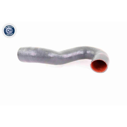 VAICO Ladeluftschlauch Q+, Erstausrüsterqualität V10-3784