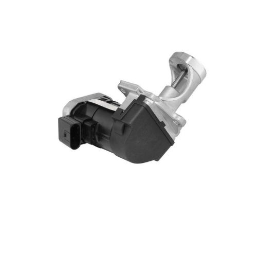 BorgWarner AGR-Ventil 7529D