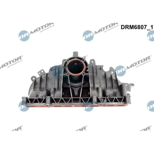 Dr.Motor Automotive Saugrohrmodul DRM6807