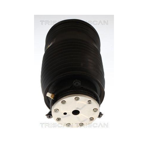 TRISCAN Luftfeder, Fahrwerk 8720 23209