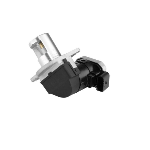 BorgWarner AGR-Ventil 7625D