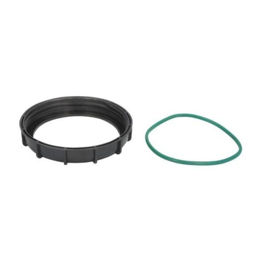 ENGITECH Dichtung, Kraftstoffpumpe ENT100501