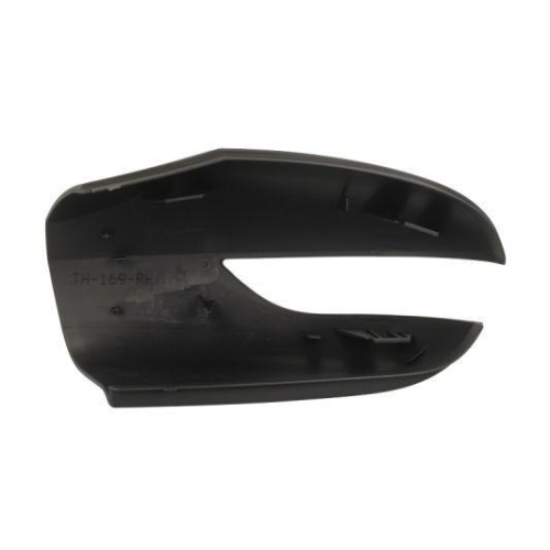 BLIC Gehäuse, Außenspiegel 6103-01-1312557P