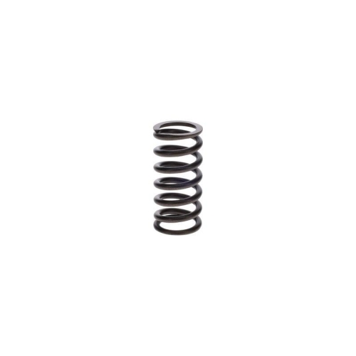 BOSCH Feder 9 411 034 650