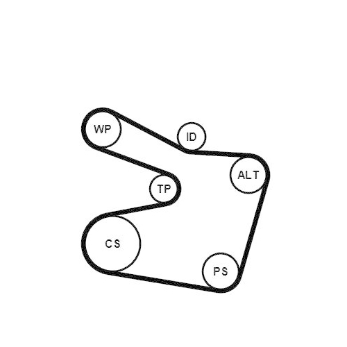 CONTINENTAL CTAM Wasserpumpe + Keilrippenriemensatz 6PK1538WP2