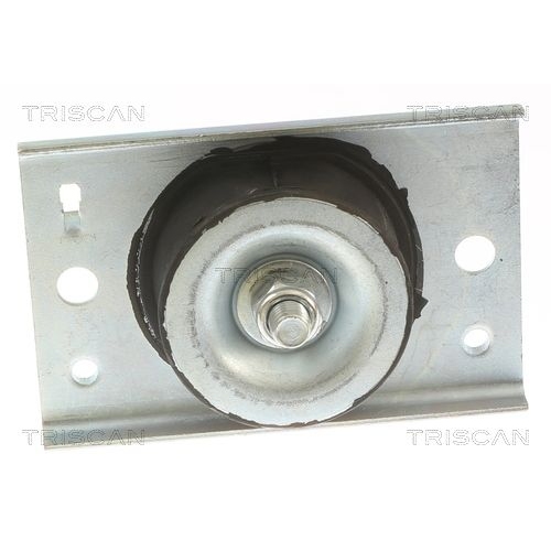 TRISCAN Lagerung, Motor 8505 10116