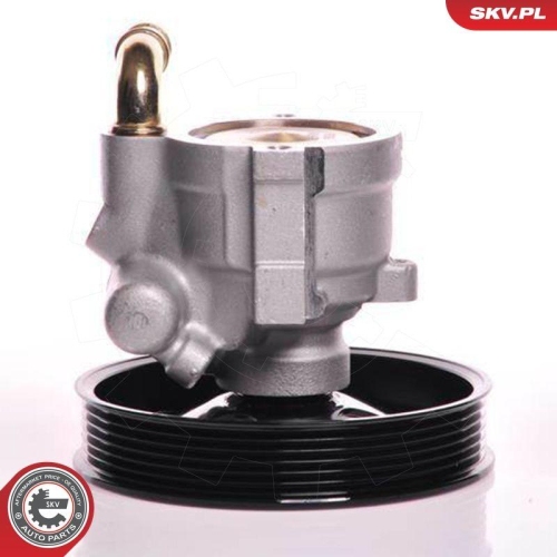 ESEN SKV Hydraulikpumpe, Lenkung 10SKV164