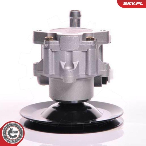 ESEN SKV Hydraulikpumpe, Lenkung 10SKV169