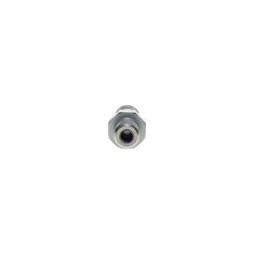 BOSCH Ventil, Einspritzanlage F 00N 350 256