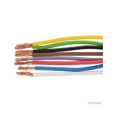 HERTH+BUSS ELPARTS Steuergerät, Beleuchtung