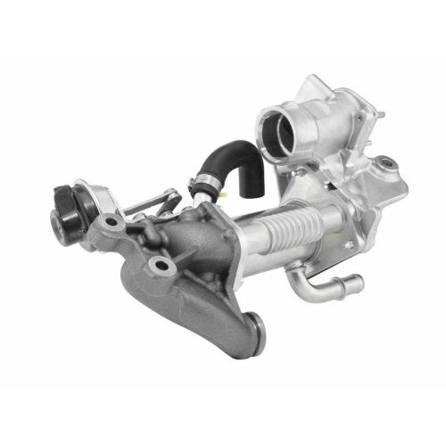 BorgWarner K&uuml;hler, Abgasr&uuml;ckf&uuml;hrung OE-Version/Erstausr&uuml;stung 790965D