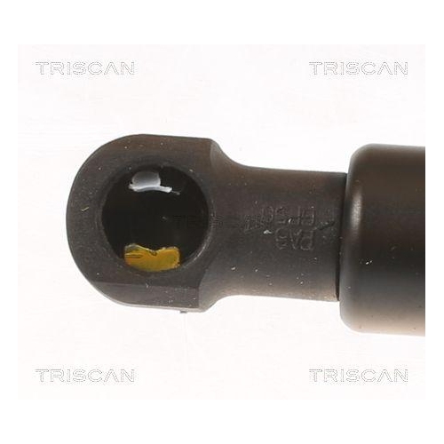 TRISCAN Gasfeder, Koffer-/Laderaum 8710 24293