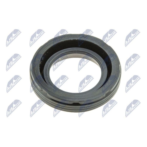 NTY Dichtring, Kerzenschacht O-NCP-008