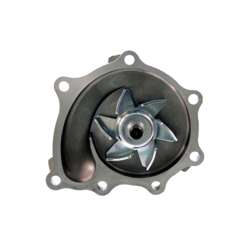 HEPU Wasserpumpe, Motork&uuml;hlung