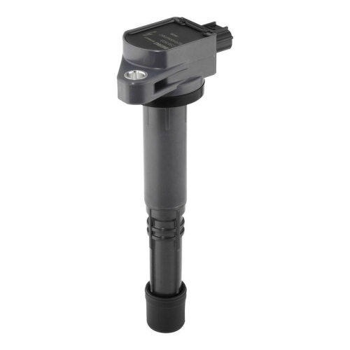 BorgWarner (BERU) Z&uuml;ndspule ZSE303