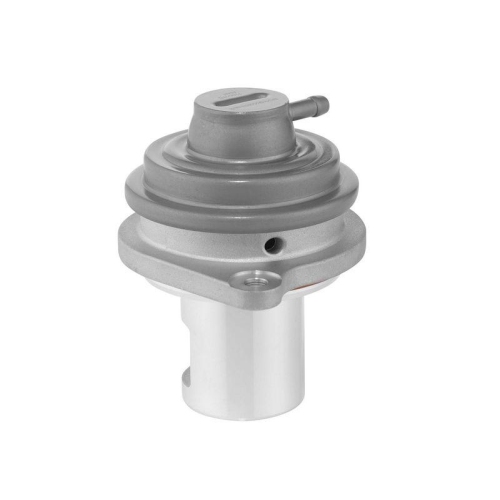 BorgWarner AGR-Ventil 729007D