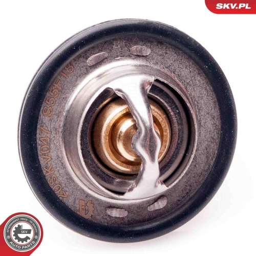 ESEN SKV Thermostat, K&uuml;hlmittel 20SKV047