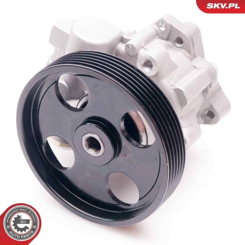 ESEN SKV Hydraulikpumpe, Lenkung 10SKV197