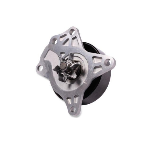 HEPU Wasserpumpe, Motork&uuml;hlung P7691