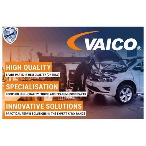 B-Ware Sto&szlig;d&auml;mpfer Hinterachse VAICO V10-7707 passend f&uuml;r AUDI A3 (8P), AUDI TT
