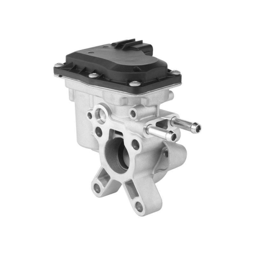 BorgWarner AGR-Ventil 729015D