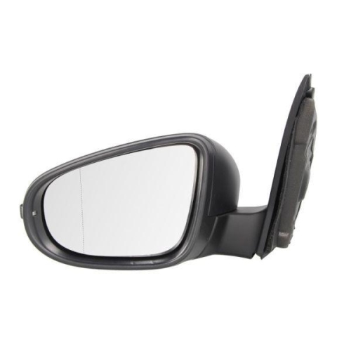 BLIC Außenspiegel 5402-01-2002631P