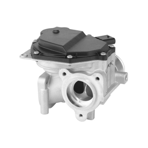 BorgWarner AGR-Ventil 729002D