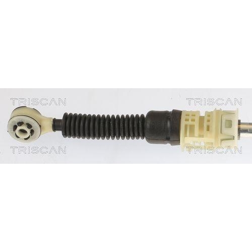 TRISCAN Seilzug, Schaltgetriebe 8140 25730