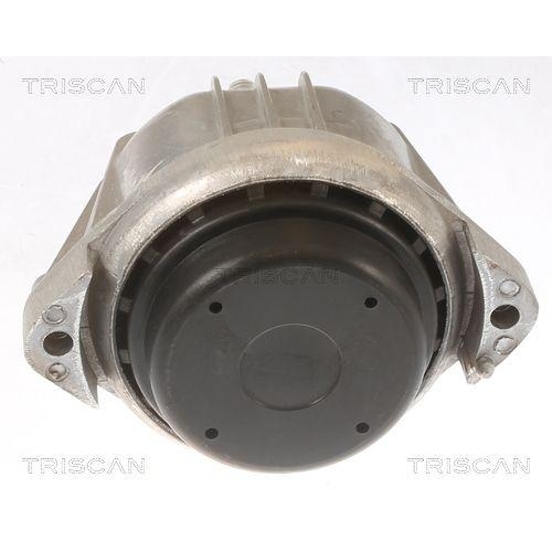 TRISCAN Lagerung, Motor 8505 11107