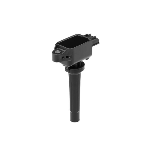 BorgWarner (BERU) Z&uuml;ndspule ZSE239