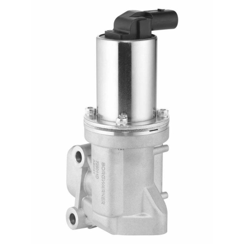 BorgWarner AGR-Ventil 729011D